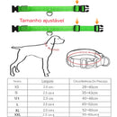 Coleira brilhante ajustável de LED - Legacy Street