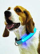 Coleira brilhante ajustável de LED - Legacy Street