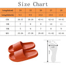 Confort Modal - Frete Grátis